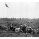 Image for article titled Remains Of World War II Military Pigeon Ignites Code Mystery